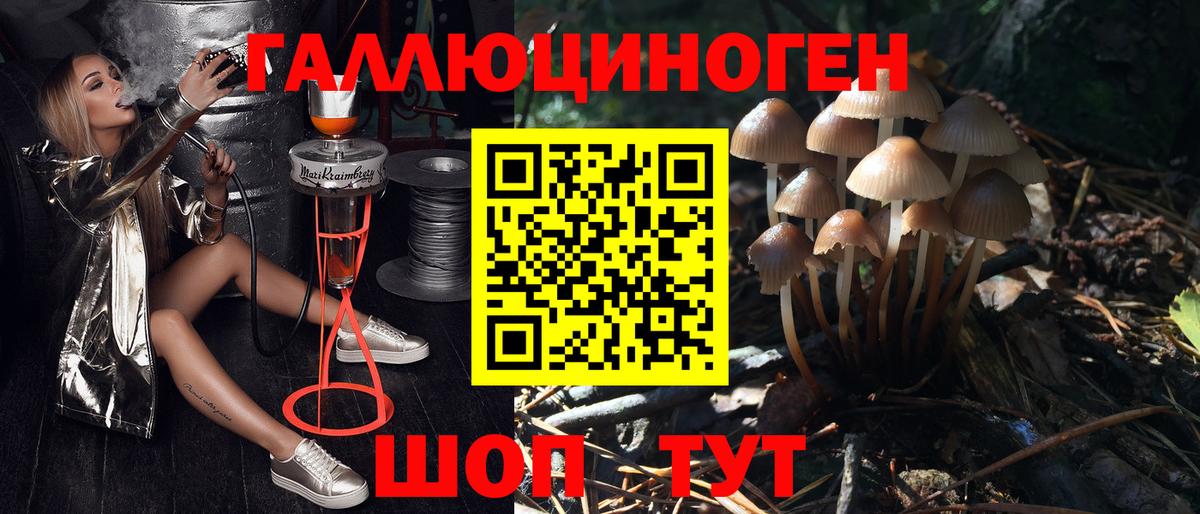 Псилоцибиновые грибы GOLDEN TEACHER  Вход с VPN  Железногорск 